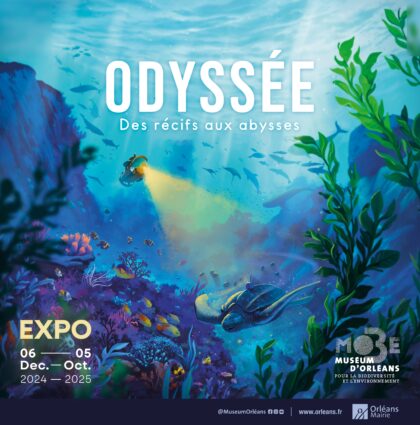 L’Odyssée : dispositifs à manipuler pour une exposition sur les fonds marins